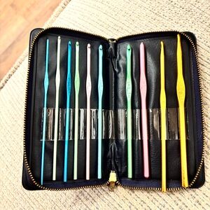Vintage Crochet Hooks Set of 10 in Zippered Case